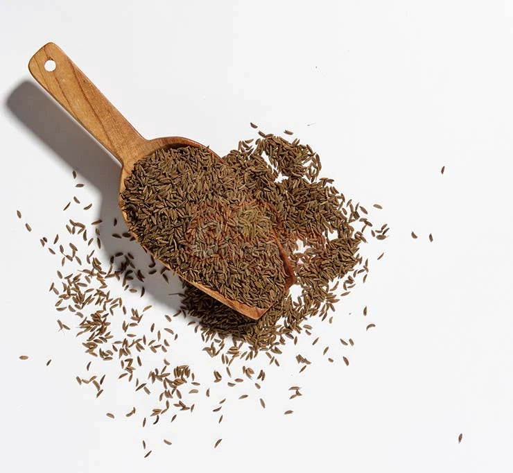 Cumin Candy Cumin 100gm – Ooty Chocolate Factory